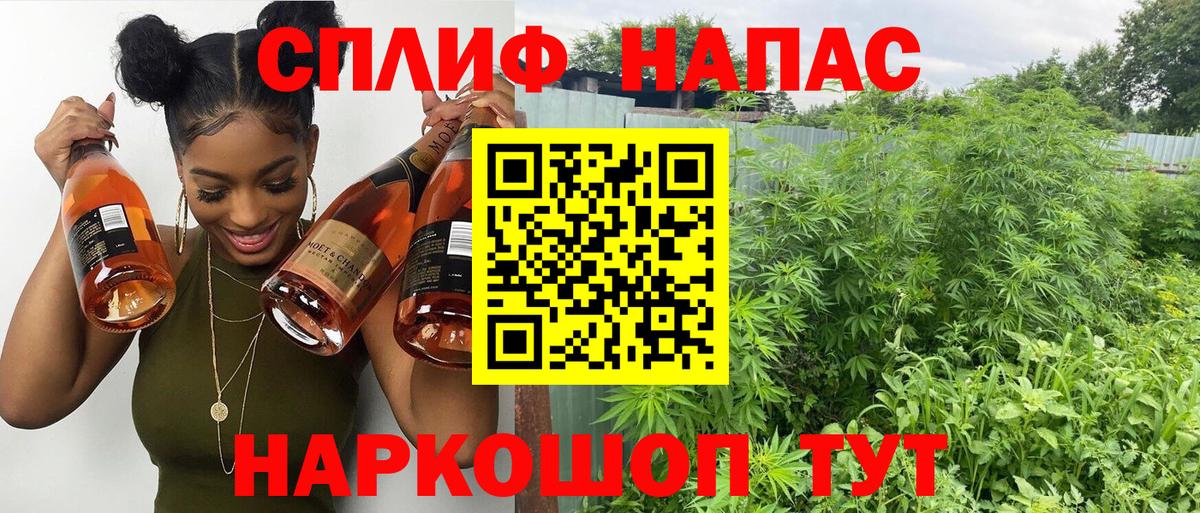 Бошки марихуана Ganja  Бошки Шишки тримм  Вход с VPN  Бошки Шишки планчик  Мытищи 